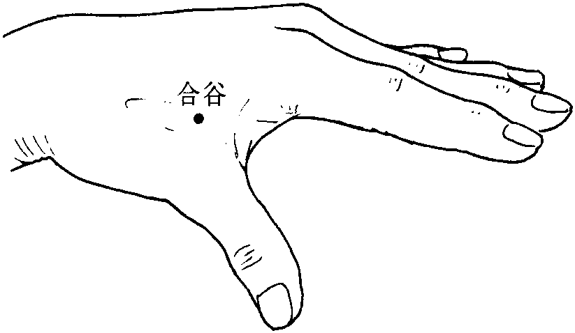 第九節(jié) 結(jié)膜炎